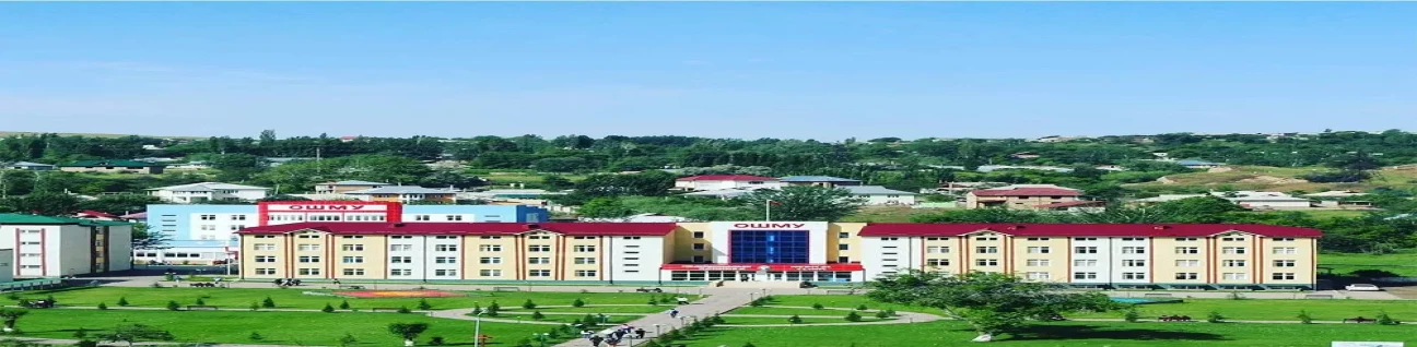 Mari State University (MSU) Yoshkar image