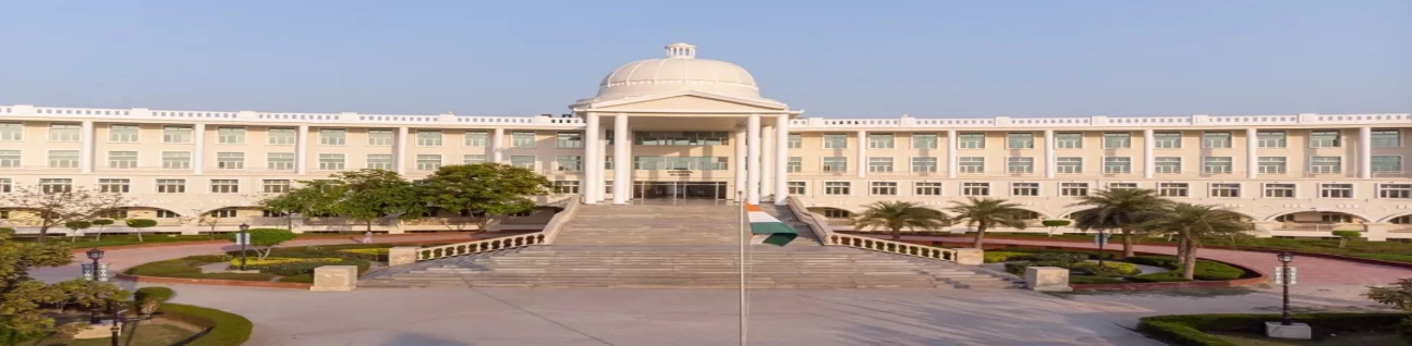 Noida International Institute Of Medical Sciences