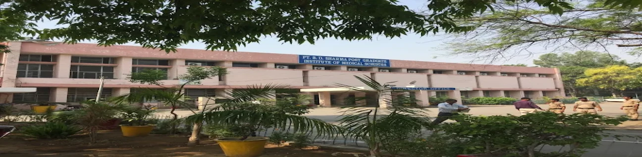 Pt. B D Sharma  Post graduate Institute of Medical Sciences