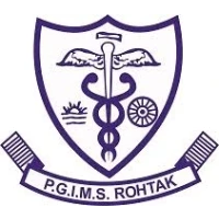Pt. B D Sharma  Post graduate Institute of Medical Sciences Logo